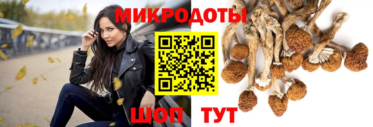 Псилоцибиновые грибы ЛСД  Вход с VPN  Клинцы 